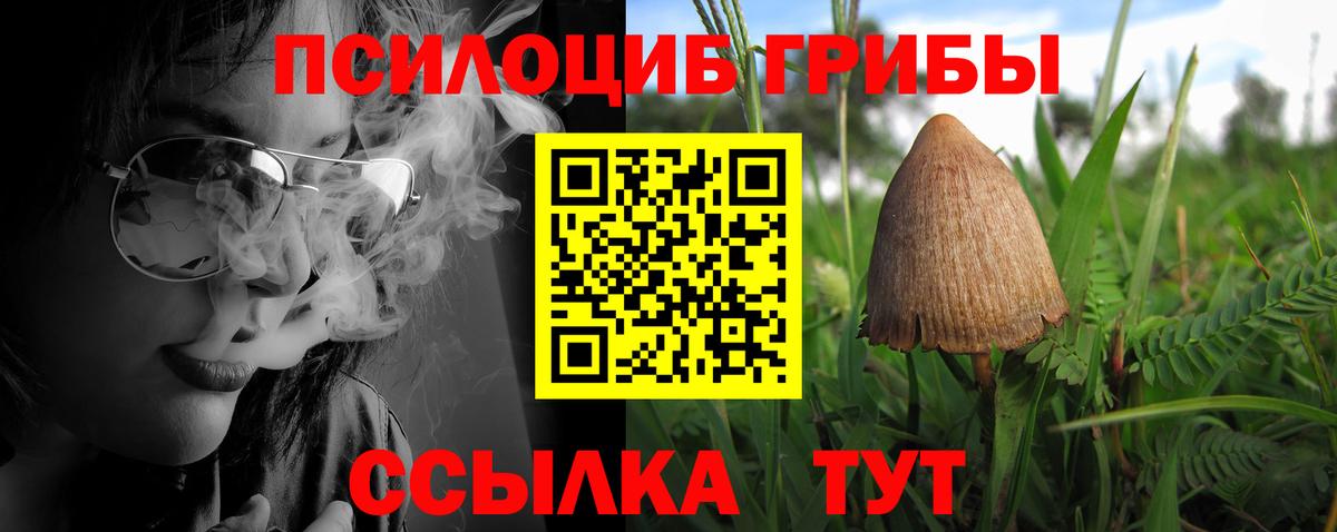 где можно купить   Вход с VPN  Татарск  Галлюциногенные грибы ЛСД 