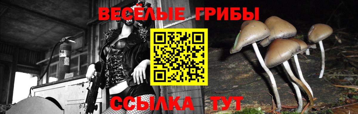 Галлюциногенные грибы прущие грибы Татарск